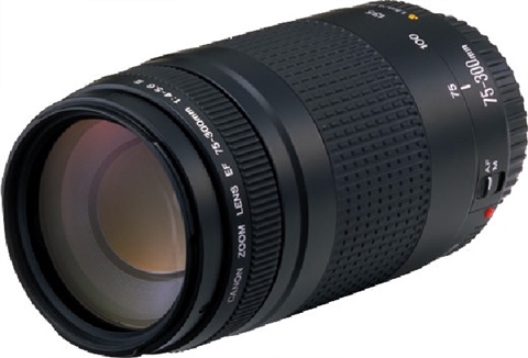 Canon EF 75-300mm F4-5.6 II USM』の魅力を徹底解説！300mmの